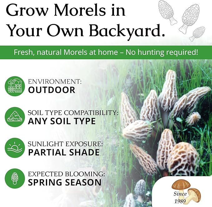 MOREL HABITAT KIT® Morel Mushroom Growing Kit (Morchella esculenta), Compatible with Any Soil Type Across The U.S., Outdoor Garden & Backyard Cultivation Set with Full Instructions - Made in The USA