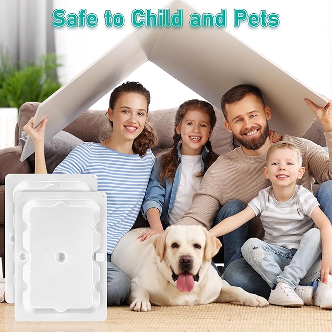 Qualirey 12 Pack Mouse and Insect Glue Traps, Strong Sticky Mice Traps Indoor for Home, Pre Scented Rodent Pads with Non Toxic Glue for House Garage, Ready to Use, Safe to Children and Pets (White)