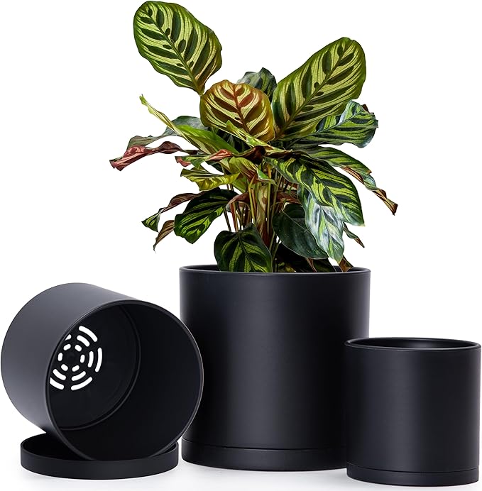 D'vine Dev 4.5 Inch 5.5 Inch 6.5 Inch, Set of 3 Plastic Planter Pots for Plants with Drainage Hole and Seamless Saucers, Black Color, Small Plus, 74-V-B-2