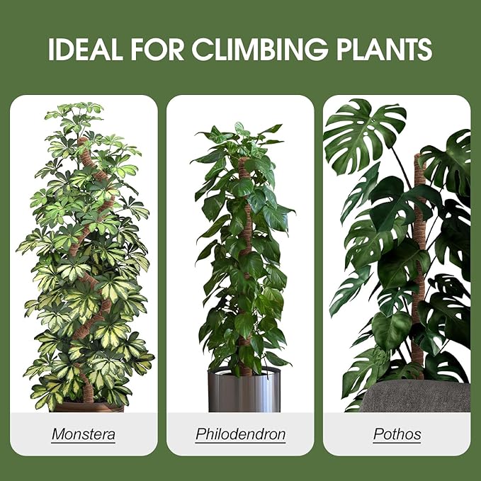 4 Pack Moss Pole 63 Inch Monstera Plant Support Moss Poles Bendable for Climbing Plants Longer Coco Coir Sticks Support Stakes Tall for Indoor Creeper DIY Shape Plants Grow Upwards