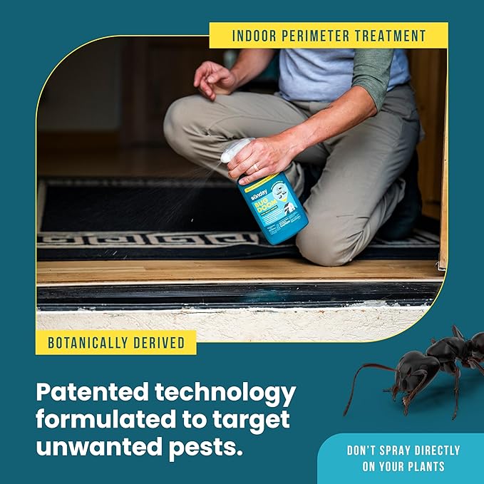 Sunday Bug Doom Home Insect Barrier Spray - Indoor Insect Spray with Botanically Derived Pyrethrin - Kills Ants, Spiders, Cockroaches & More - 16 Fl Oz