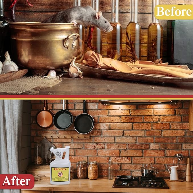 One Gallon Jug Rodent Repellent Makes 10 Gallons