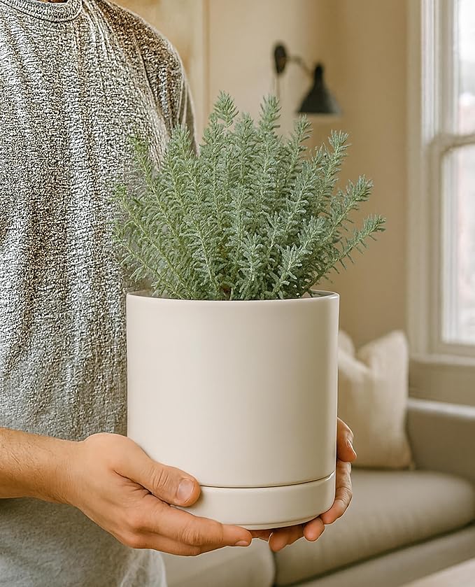 D'vine Dev 6.5 Inch Ceramic Planter Pot with Drainage Hole and Saucer, Indoor Cylinder Round Planter Pot, Oatmeal, 94-O-C-8