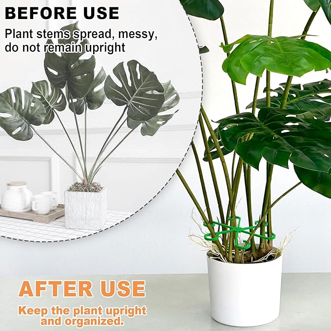 8PCS Plant Stem Support, 4 Sizes Climbing Houseplant Stem Holders, Plastic Reusable Flower Trellis Stem Hook Plant Care Growth Accessories for Flower Plants Indoor Outdoor- Green, Clear