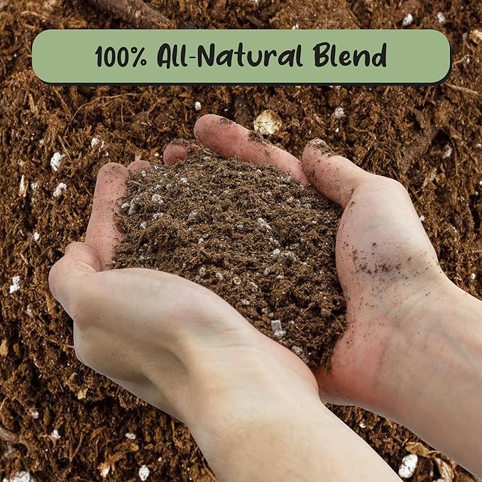 Olive Tree Potting Soil Mix (12 Quarts), for Planting, Repotting, and Growing Olive Bushes/Plants