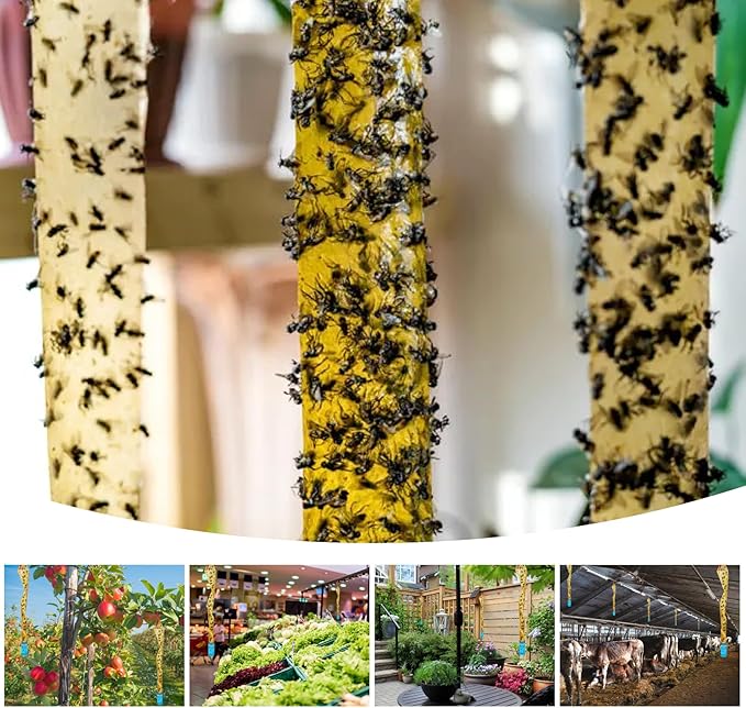 Glovv 60 Pack Sticky Fly Trap Indoor, Flies Strips Indoor Outdoor Hanging Paper Rolls for Home, Bug & Fruit Gnat Ribbons Tape Killer Catcher for Kitchen, Flying Insect Trap for Winged Insect, Mosquito