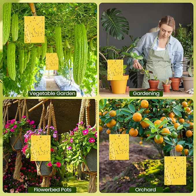 Qualirey 50 Pcs 6 x 8 Inch Sticky Traps for Plant Double Sided Sticky Trap for Gnats with Twist Ties Fly Traps for Fruit Insect Fungus Bugs Indoor Outdoor (Yellow)