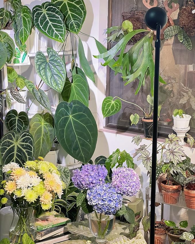 Standing Grow Light with Timer 4/8/12H, 20W Full Spectrum Vertical Grow Lights for Indoor Plant Growing, Wide Coverage, 5.24FT to 6.88FT Height Adjustable, Ideal for Large Tall Plants