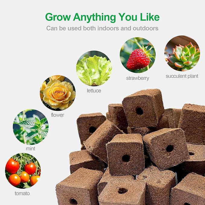 50 Pack of Hydroponic Growth Sponges - Square Seed Start Cube for Indoor Gardening System, Nurting Trays - for Vegetables, Herbs, Succulents, Green Leaf and Floral Arrangements