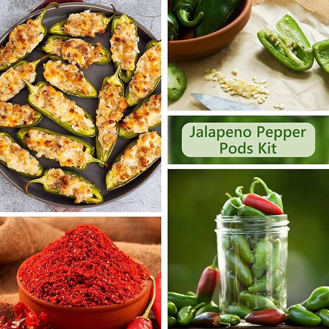 Jalapeno Pepper Seed Pods Kit, 12 Pods Grow Anything Kit for Indoor Hydroponics Growing System, Hydroponics Supplies with 12 Grow Sponges, 12 Plant Baskets, 12 Pod Domes and Labels