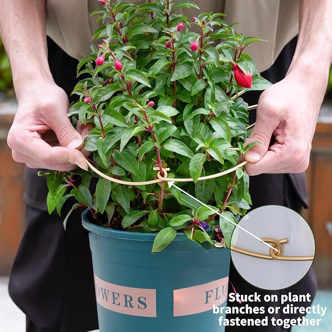 5PCS Durable Monstera Plant Stem Support Stake with Adjustable Leaf Holders - Plant Support Kit for Indoor Botanicals, Cactus Stabilizers, and Turtle Shell Climbers - Ideal for Plant Enthusiasts