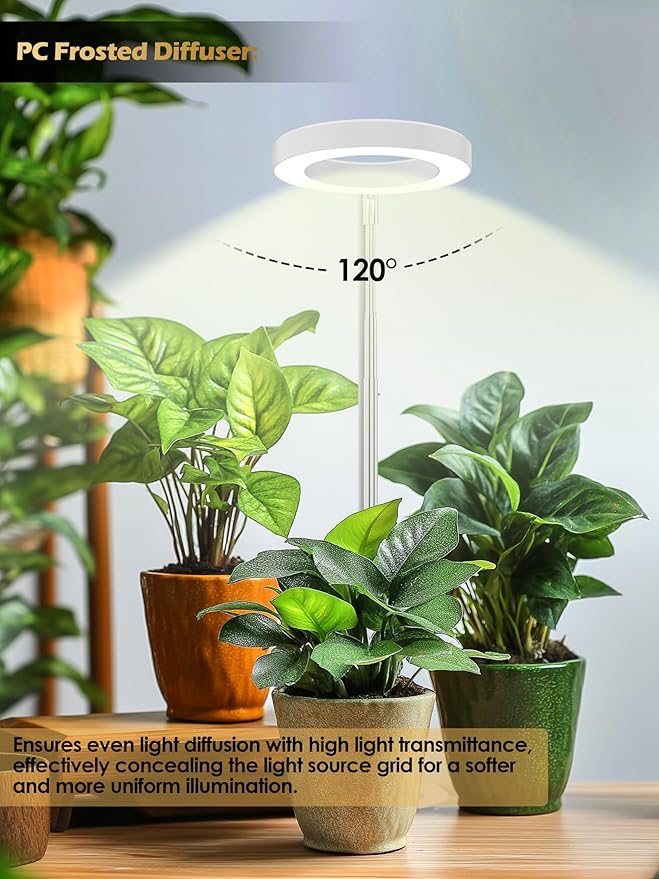 GLOWRIUM Grow Light for Indoor Plants, 12W Full Spectrum Plant Lights with Timer, Height Adjustable&10 Dimmable Brightness, Mini Halo Grow Lights for Small Plant (2025-white, 12w)