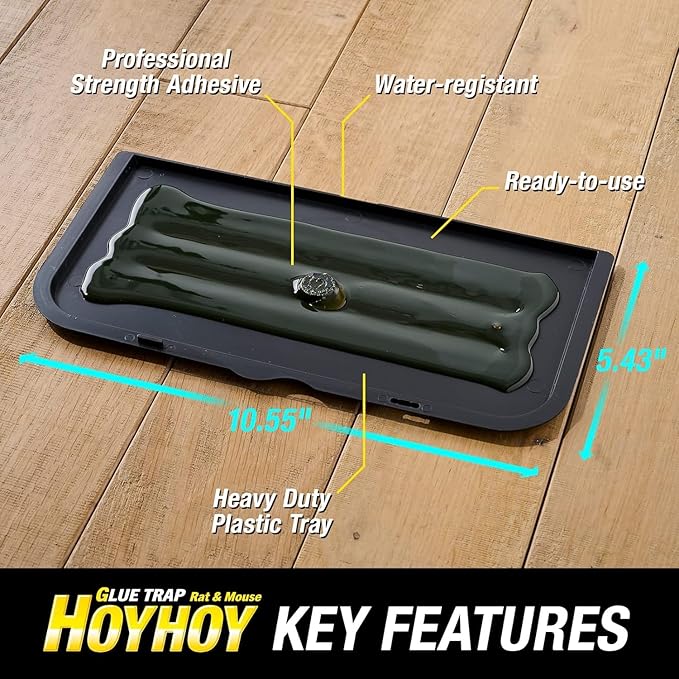 HOY HOY Regular Size Rat & Mouse Indoor/Outdoor Glue Trap (4 Pack)