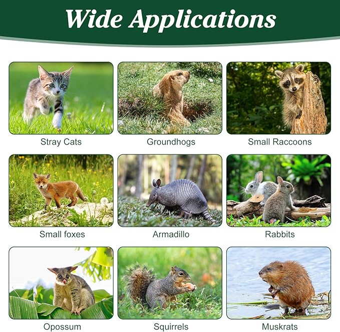 2 Pack Humane Rat Trap, Foldable Single Door Metal Mouse Cage for Small Squirrel Raccoon Feral and Other Small Live Animals, Easy to Catch and Release, Work for Indoor Outdoor