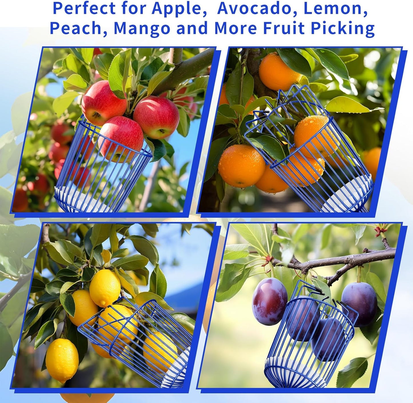 Fruit Picker Pole with Basket Segmented Fruit Picker Pole Tool for Apple Avocado Cherry Lemon Mango Orange Peach Picking(40-100")