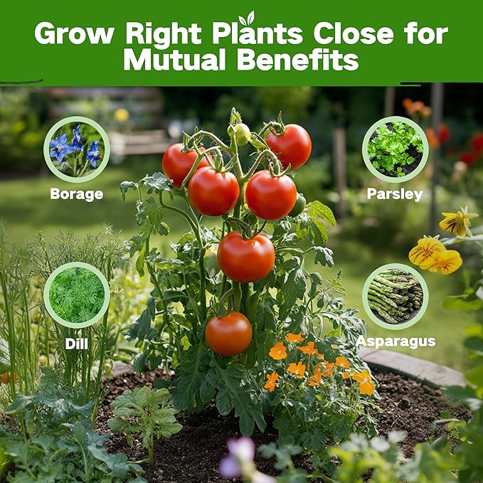 LUSH&DEW Full Companion Plants Vegetable Seed Bank, Gardening Gifts for Women Men, 32 Varieties 30,000+ Non-GMO Heirloom Fall Garden Seeds, Raised Garden Bed, Survival Seed Kit Emergency Food Supplies
