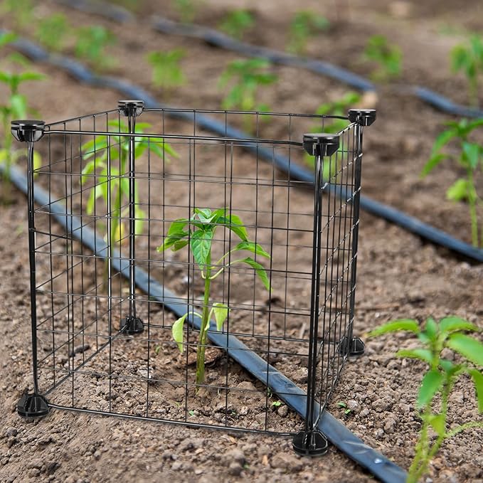 8 Set Wire Plant Covers Plant Protectors from Animals,80 Pcs 12"X12" Chicken Garden Cloches for Plants Metal Meshes for Protect Plants Vegetables