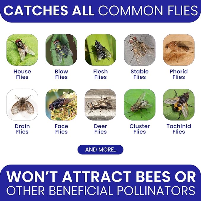 Fly Traps Outdoor Fly Trap for Patio with 2 Non-Toxic Dissolvable Bait Refills. Reusable Hanging Bug Catcher Killer for All Filth Flies for Outside Bug Control Yard Ranch. Hanging Chains Included