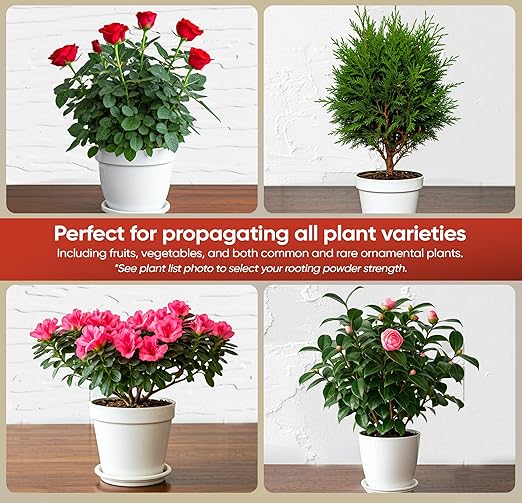 Hormex Rooting Powder #3 (0.30 IBA) - Rooting Hormone for Common Home & Garden Cuttings - Root Stimulator for Cloning - Strong Roots for Maximum Plant Propagation Success