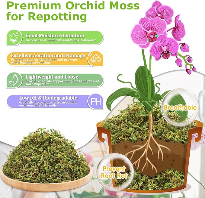 Legigo 1.3LBS Premium Forest Moss for Plants, 25 QT Natural Green Sphagnum Moss for Potted Plants, Dried Orchid Moss Potting Mix, Soft Real Moss Decorative for Houseplants Orchids Succulents Reptiles