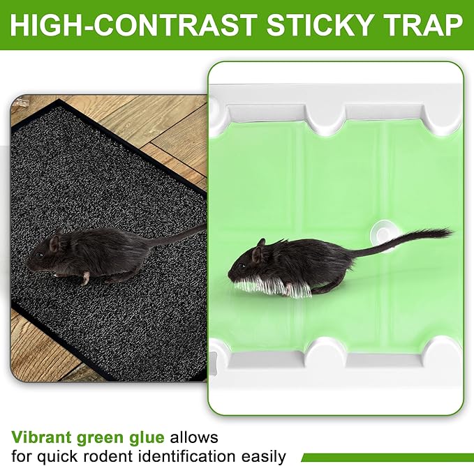 Qualirey 10 Pack Mouse Glue Trap, Super Sticky Traps for Mice and Rats, Pre-Scented, Non-Toxic Mouse Glue Boards, Rodent Sticky Pads Indoor for Home, Easy to Use, Pet Safe Pest Control