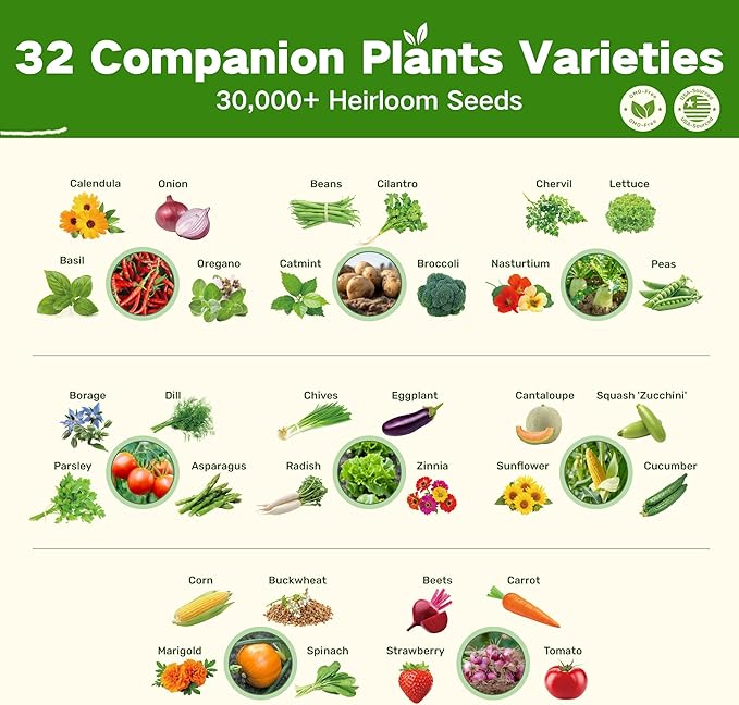 LUSH&DEW Full Companion Plants Vegetable Seed Bank, Gardening Gifts for Women Men, 32 Varieties 30,000+ Non-GMO Heirloom Fall Garden Seeds, Raised Garden Bed, Survival Seed Kit Emergency Food Supplies