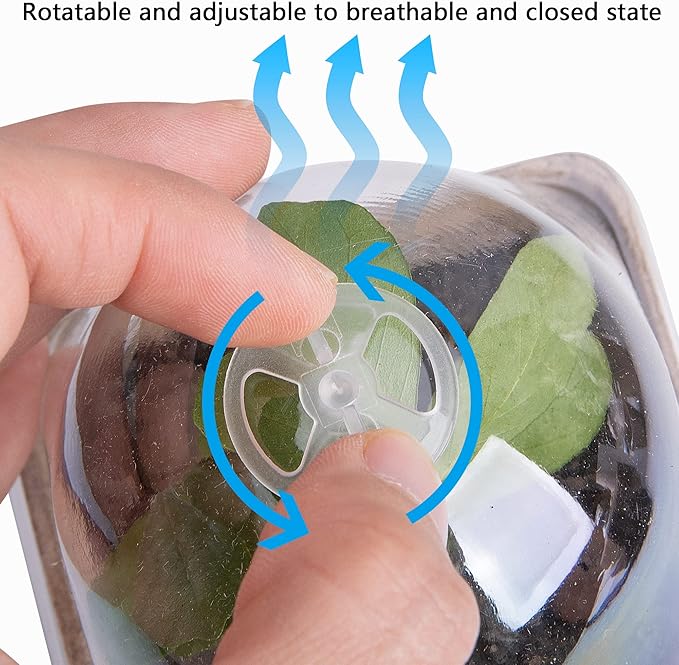 20 Pcs Biodegradable Nursery Pots with Humidity Dome- 2.3 Inch Square Seeding Starter Pots for Planting- Peat Pots for Seedlings Garden Vegetable Flower Germination