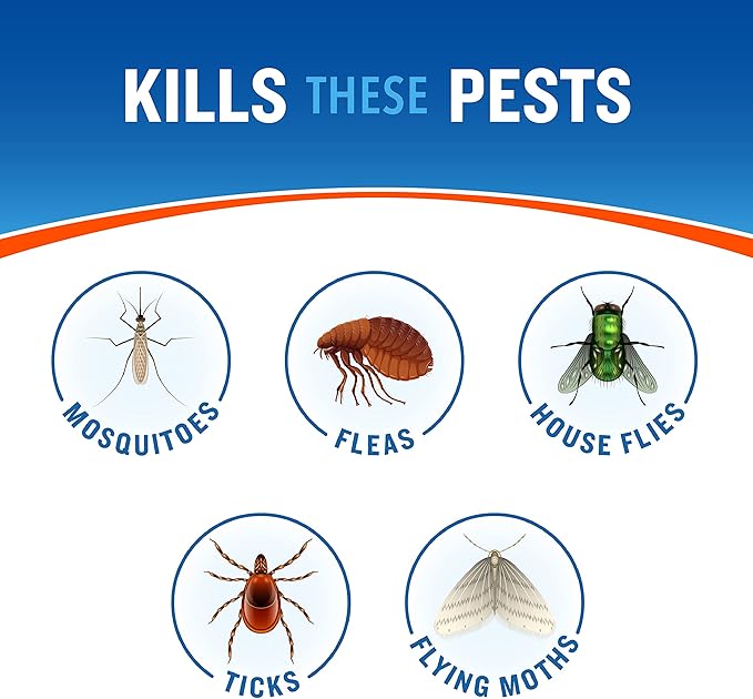 Cutter Backyard Bug Control Spray Concentrate (3 Pack), Kills Mosquitoes, Fleas & Listed Ants, 32 fl Ounce