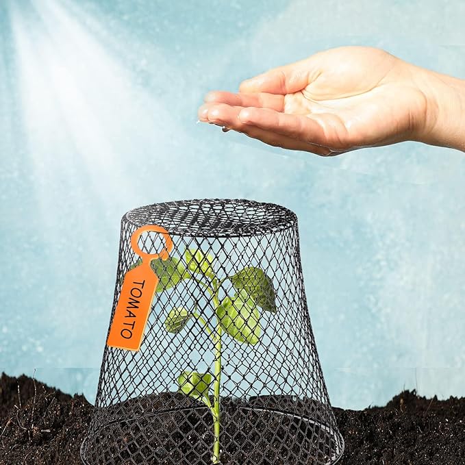 10 Pcs 11inch Chicken Wire Plant Covers,Green Wire Garden Cloches Chicken Wire Cloche Plant Protector Metal Heavy Duty Garden Plant Cloche for Keeping Bunnies Chicken Squirrels Birds Other Out