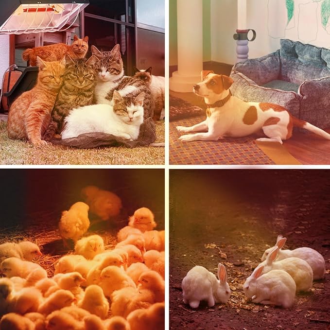 Chicken Coop Heat Lamp 250W Brooder Heating Plate for Chicks Hanging Light Heated Adjustable Temp with Anti-Fall Aluminum Alloy Lamp Shade Suitable for Poultry, Livestock & Small Pets