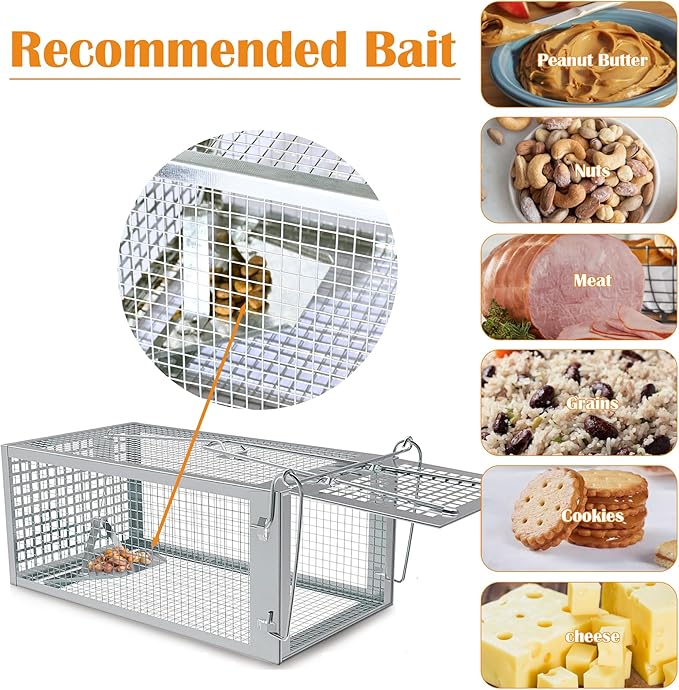 Humane Rat Trap, Chipmunk Rodent Trap That Work for Indoor and Outdoor Small Animal - Mouse Voles Hamsters Live Cage Catch and Release 1 Pack