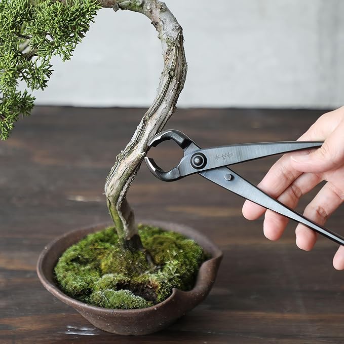 Wazakura Hand Forged Knob Bonsai Cutter Made in Japan 8-1/4 inch (210mm), Japanese Gardening Tools, Round Edge Concave Branch Cutter Black