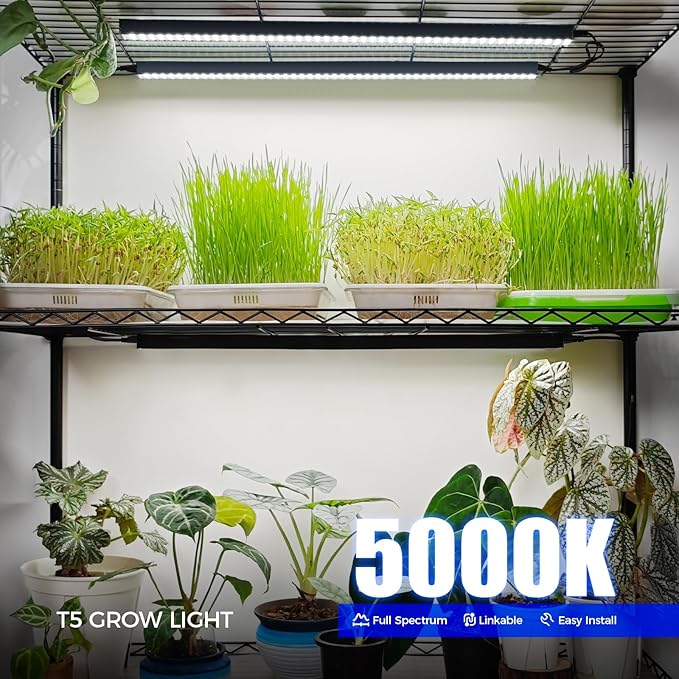 Barrina T5 Grow Lights for Indoor Plants, 2FT 80W(8 x 10W) Black Cover LED Plant Growing Lamp, Full Spectrum Grow Light Strip with Switch, Magnetic Installation, Plug and Play, 5000K, 8 Packs