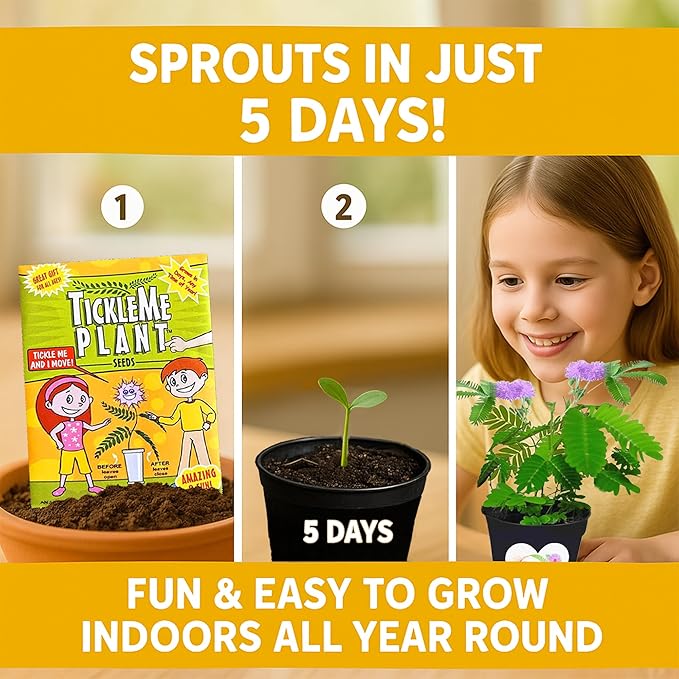 TickleMe Plant Get Well Soon Kit (1 Pack) – Grow A Tickle Me Plant That Reacts to Touch – Leaves Fold Up When You Tickle Them – Full Grow Kit of Sensitive Plants Seeds for Kids to Grow Indoors