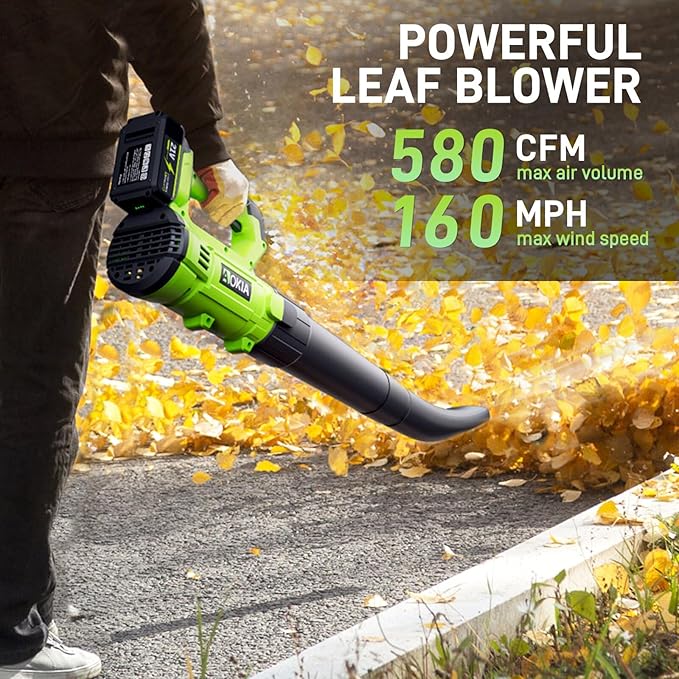 Aokia Leaf Blower, 21V Electric Cordless with Battery and Charger - 6 Speed Mode Handheld Powered Air Blower - Lightweight Leaf for Lawn Care, Patio Cleaning, Blowing Leaves and Dust