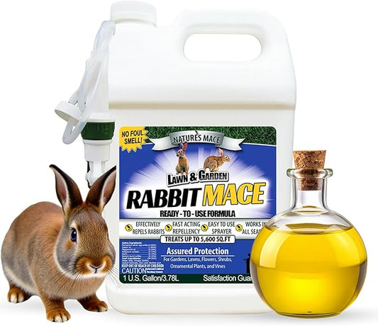 Nature’s Mace Rabbit MACE, Rabbit Deterrent for Yard, Rabbit Repellent Outdoor, Mint Scent Rabbit Spray, Garden, Lawn, Keep Rabbits Out, 1 Gallon Ready to Use, Safe Around People, Pets, Plants