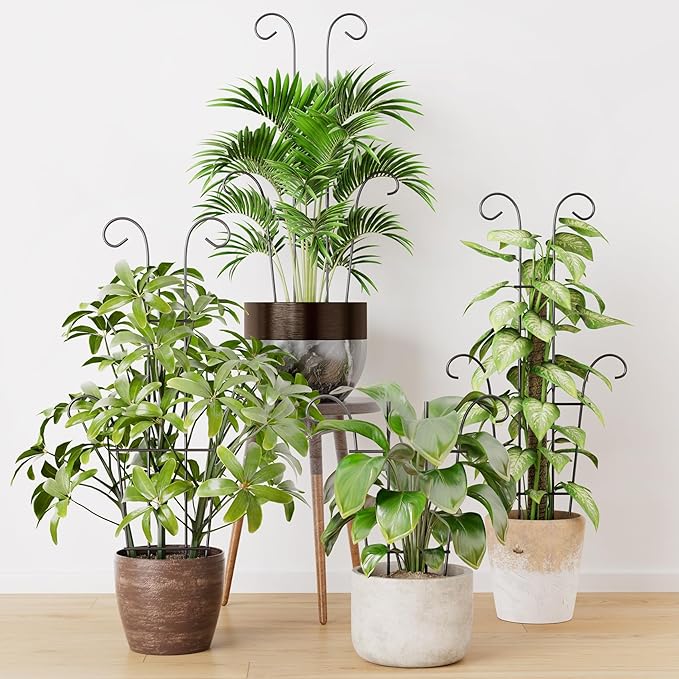 Larger 23.6in Taller Plant Trellis for Climbing Plants Indoor, 4 Pack Metal Garden Trellis for Potted Plants, Rustproof, Larger, Sturdy Climbing Plant Support for Indoor & Outdoor Houseplants