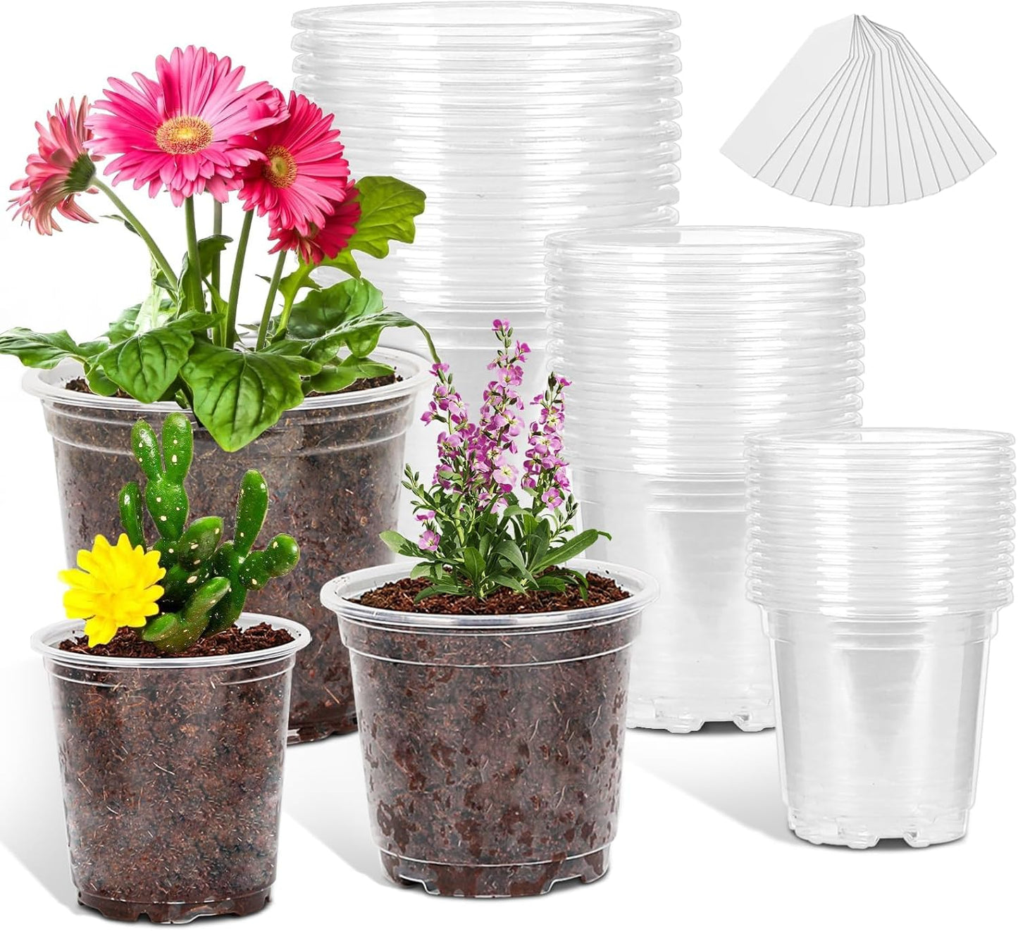 36 Pack3.5/4/5Inch Clear Nursery Pots with Drainage Hole,Variety Sizes Seed Starting Pots Transparent Plastic Plant Pots for Plants Transparency with 20 Plant Labels