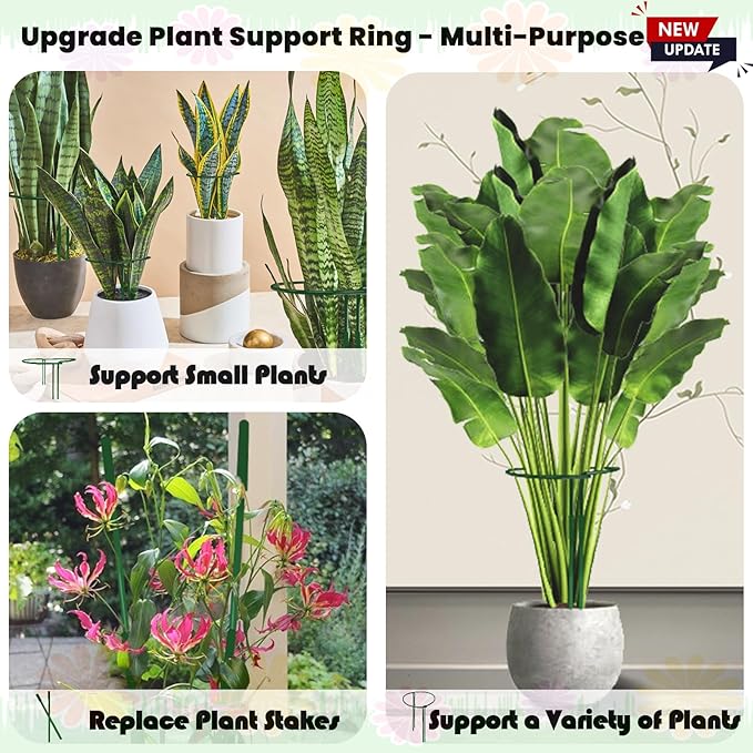 10-Pack Adjustable Height Snake Plant Support Stakes- Sturdy, Rust-Resistant Plant Supports for Indoor and Outdoor Potted Plants (16x10Inch) - Flower and Garden Peony Support
