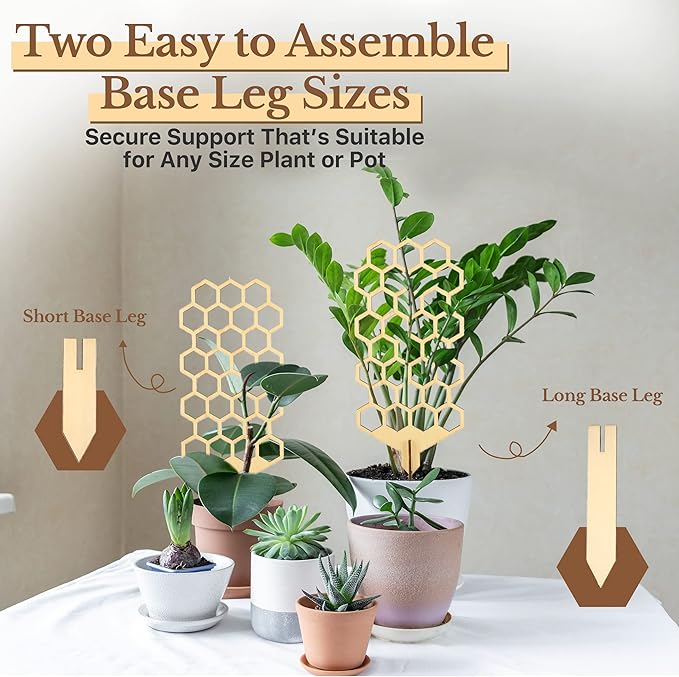 Wood Trellis for Climbing Plants Indoor & Outdoor - 2 Pack 18" Modern Honeycomb Small Plant Trellis - Stabilizing Plant Support for Indoor Plants - Small Trellis for Potted Plants to Encourage Growth