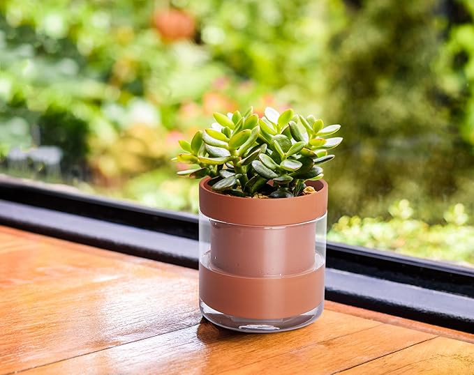 Phoenix Vine 4 Inch Self Watering Planter Pot, Terracotta Clay Pot with Glass Reservoir for Indoor Plants, Herbs, Flowers, Set of 4, 52-A-E-4