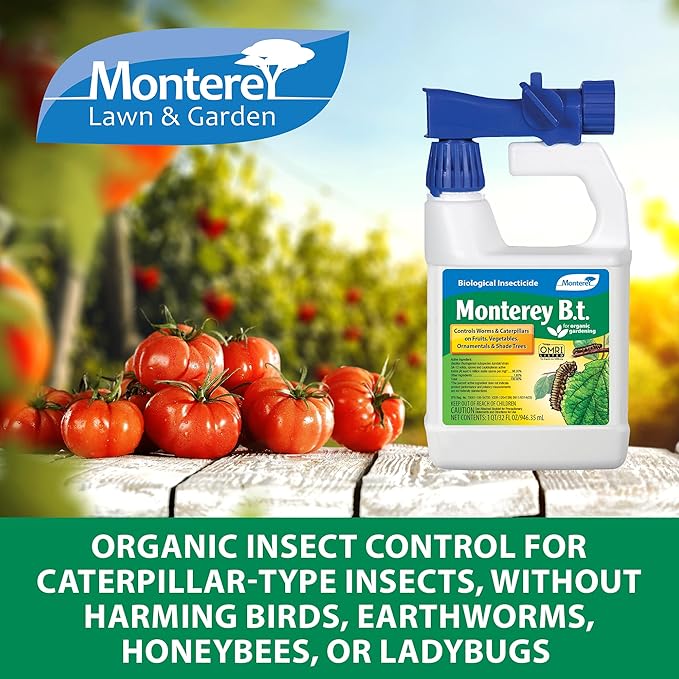 Monterey - B.t. Bacillus Thuringiensis Bundled with Garden Measuring Spoon - Ready to Spray Worm & Caterpillar Killer Insecticide, OMRI Listed - 32 oz