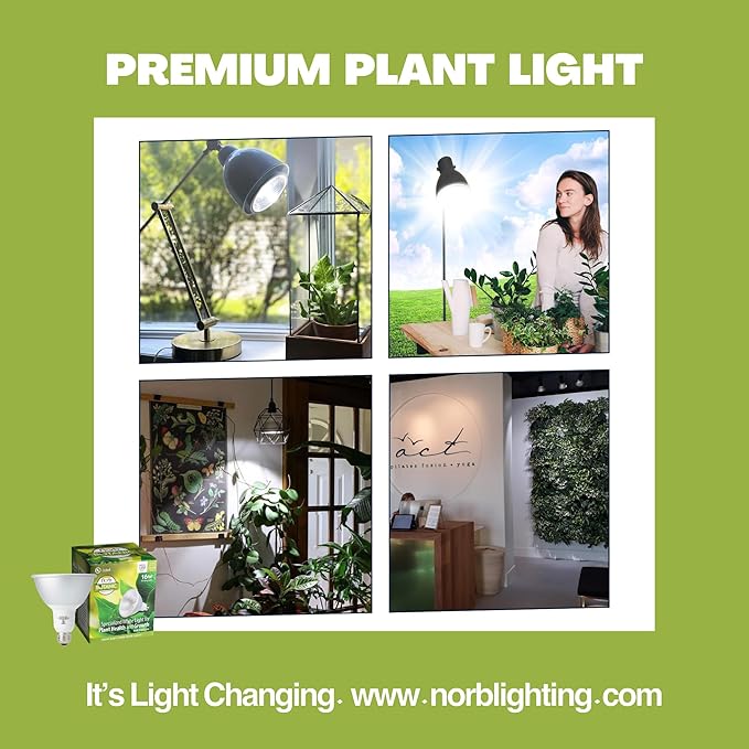 NorbBOTANIC Premium LED Grow Light, Full Spectrum PAR38 Bulb, 1350 Lumens, Energy-Efficient, Sun-Spectrum Mimics Sunlight, White Light, Perfect for Indoor Plants, Herbs, Tropical Plants, 16W 30 Degree