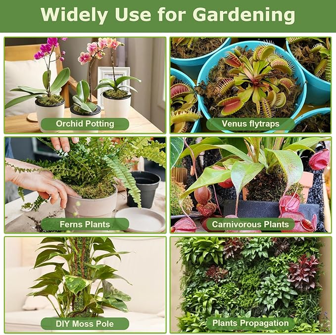 Legigo 2.6LBS Premium Forest Moss for Plants, 50 QT Natural Green Sphagnum Moss for Potted Plants, Dried Orchid Moss Potting Mix, Soft Real Moss Decorative for Houseplants Orchids Succulents Reptiles