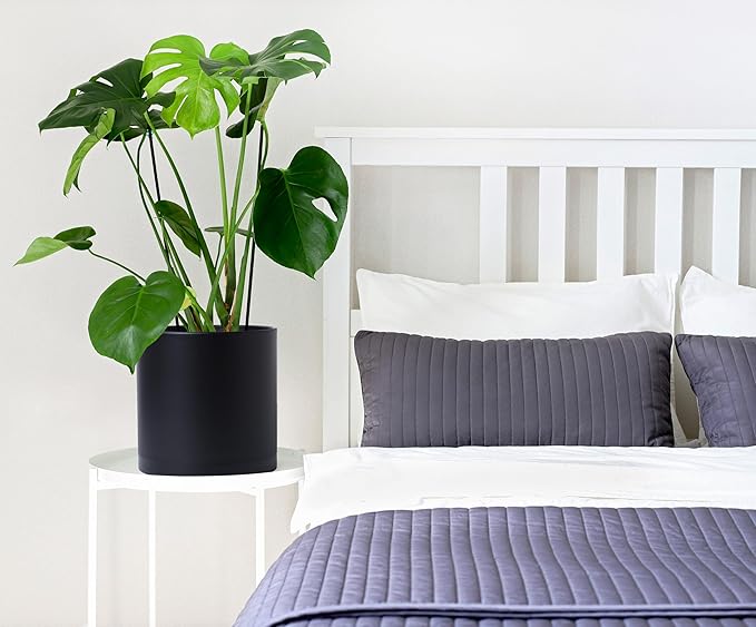 D'vine Dev 2 Pack 10 Inch Modern Plastic Plant Pots, Cylindrical Garden Planters for Plants with Drainage Holes and Saucers, Black, 74-Y-N-1