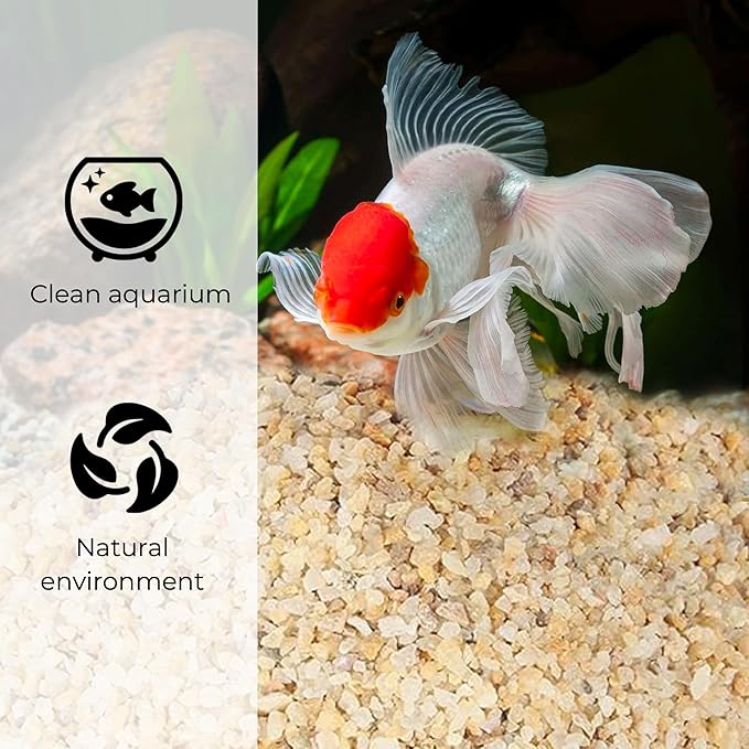 Granule Silica Sand - 10LB- Gravel for Plants - Horticultural Sand - Small Sharp rocks for Plants Bonsai Cactus & Garden Sand Grit - Terrarium and Plant Sand Soil Gardening Landscape Succulent Stones