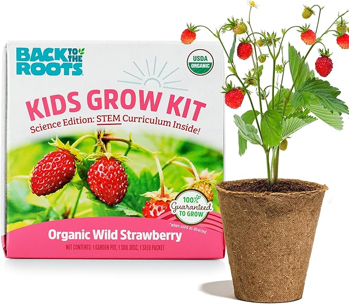Back to the Roots Organic Wild Strawberry Grow Kit