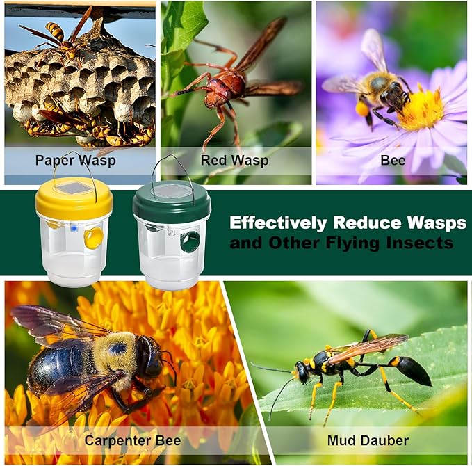SPICA 4 Pack Wasp Traps Outdoor Hanging, Reusable, Solar Powered Bee Traps for Hornets, Bees, Yellow Jackets, Wasps with Led Light