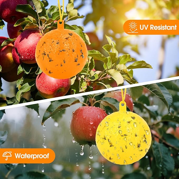 Original Fruit Fly Trap Ball, 12pcs Hanging Fungus Gnat Killer Catcher, Adhesive Sticky Glue Catching Ball Fly Gnat Wasp Hornet Mosquito Bugs Flying Insects Trap Ball for Indoor Outdoor Plant