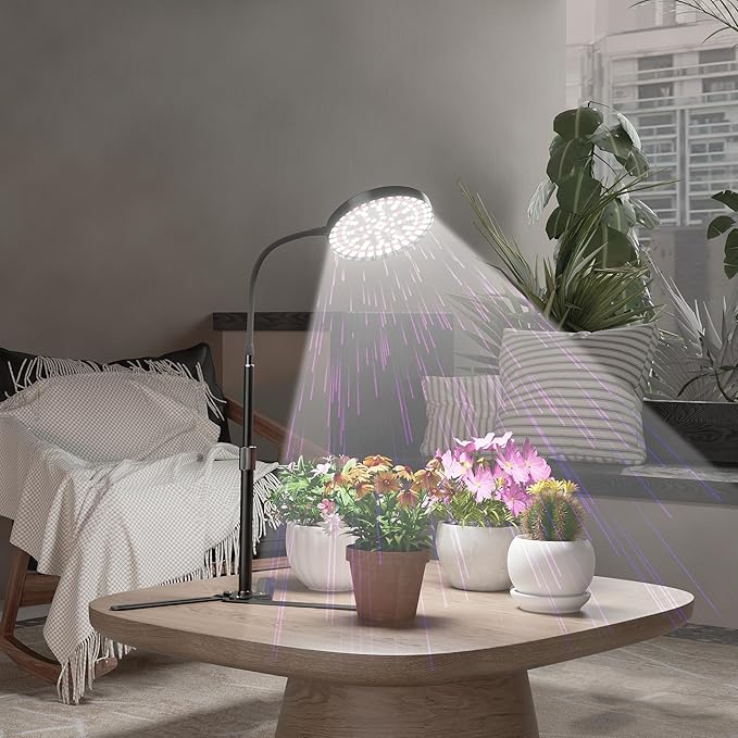 Super-Bright Grow Light 100W, 6000K 216LEDs White Full Spectrum Plant Growing Lamp for Home Office Indoor Plants,Adjustable Height & Auto Timer 4 8 12Hrs, 12V 3A High Power Output for Faster Growth